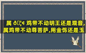 属 🦢 鸡带不动明王还是观音,属鸡带不动尊菩萨,用金饰还是玉好